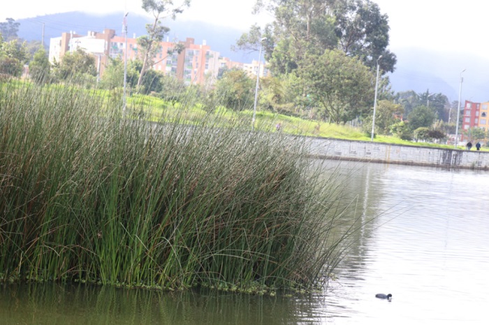 Grupo especial  hará seguimiento a los humedales y al recurso hídrico de la ciudad